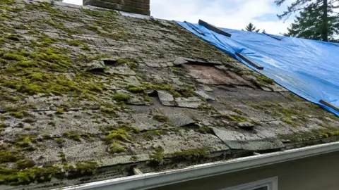 Worn mossy roof with missing shingles and a blue tarp