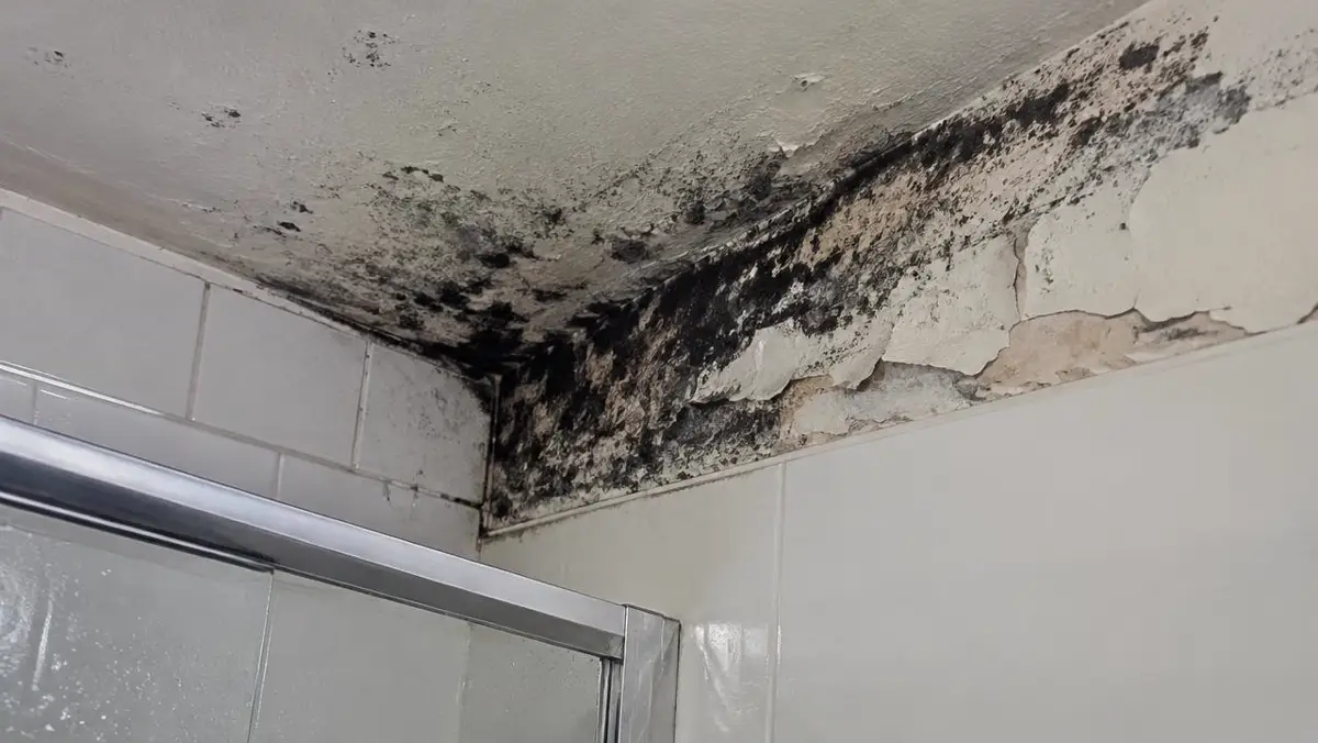 Black mold spreading across a bathroom ceiling corner